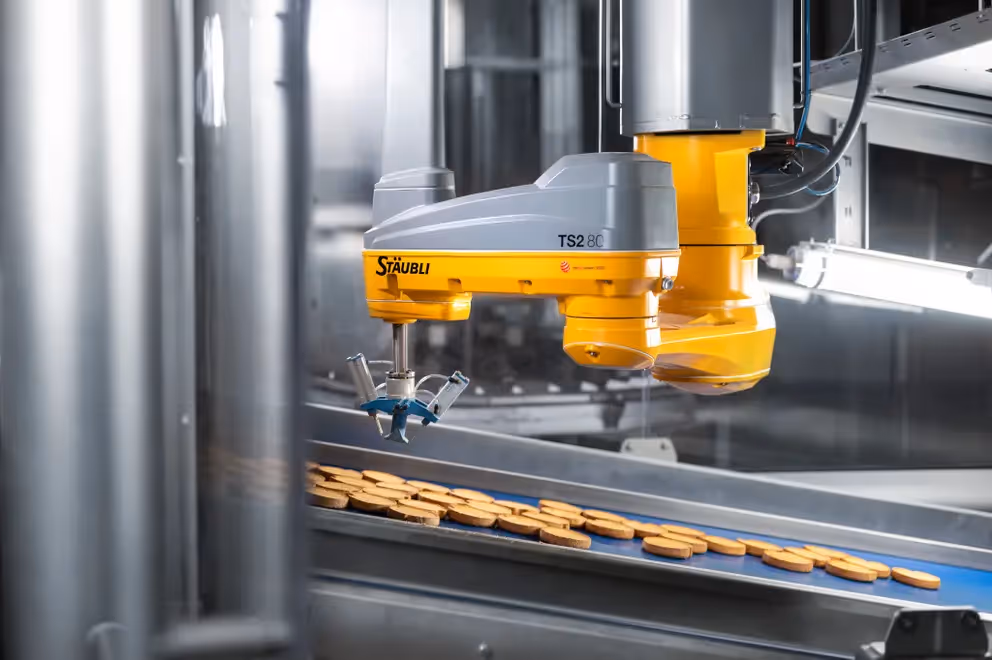 sorting & bin-picking systems vision ai