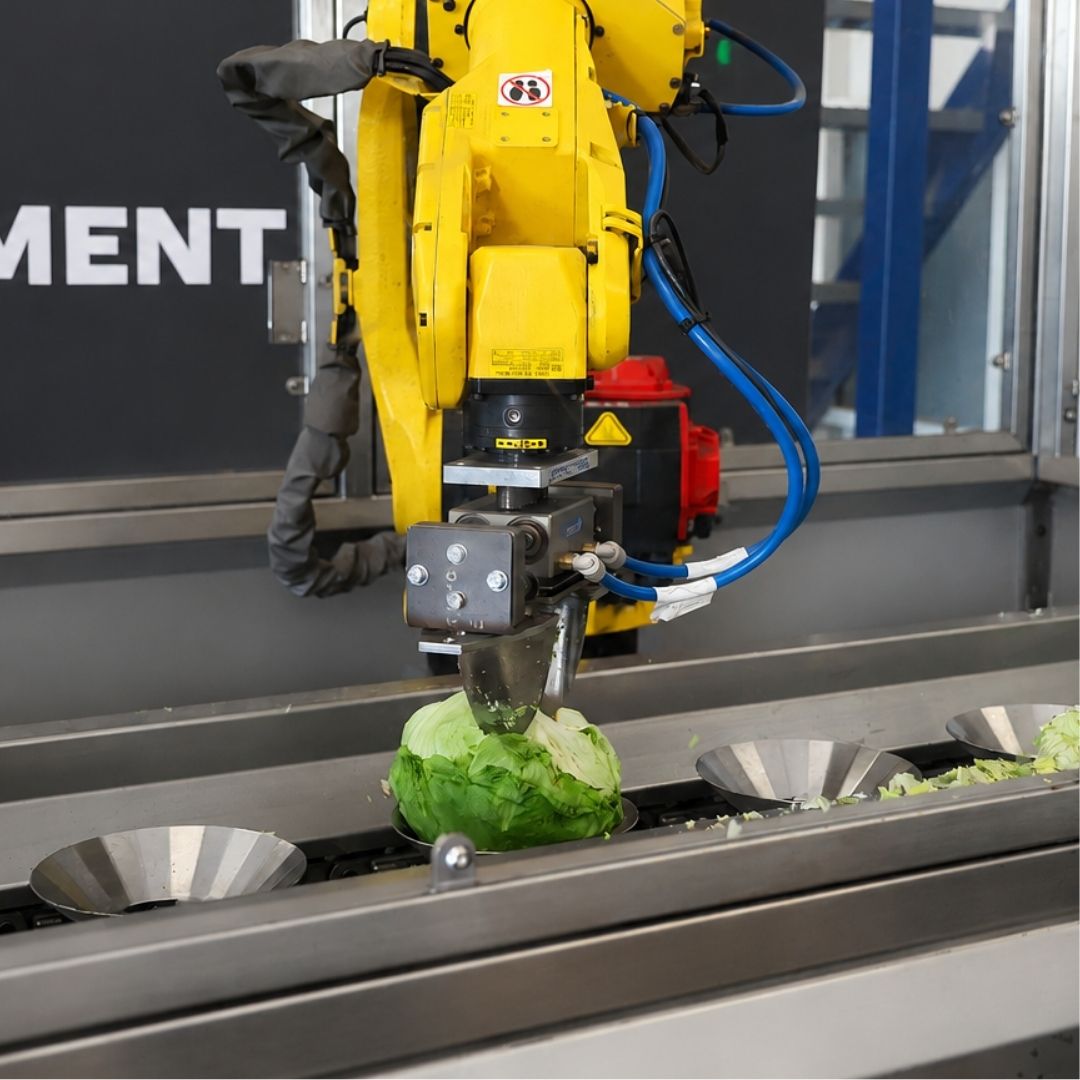 sorting-ai-machine-fruit