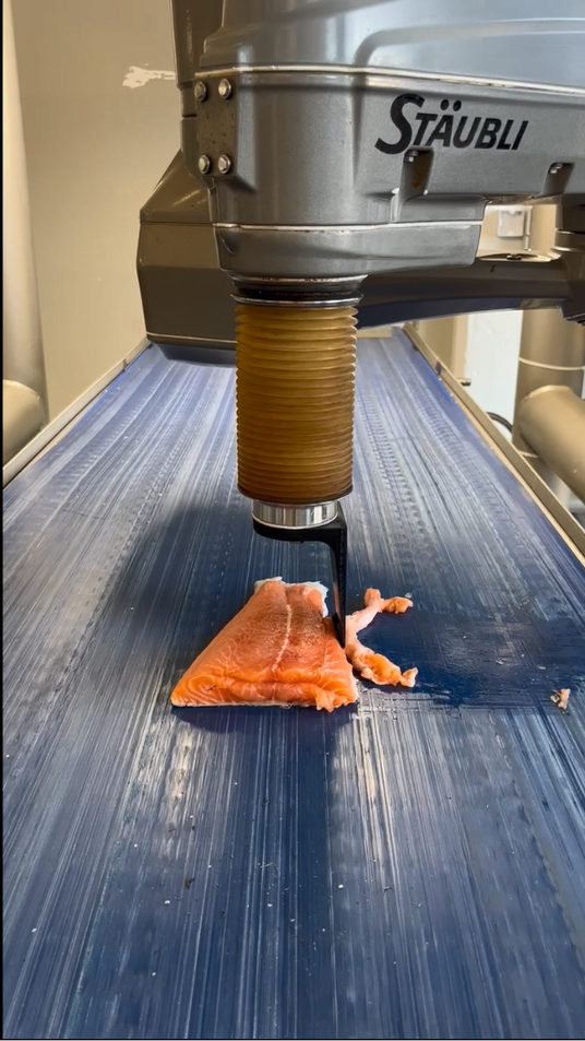 fish processing automation