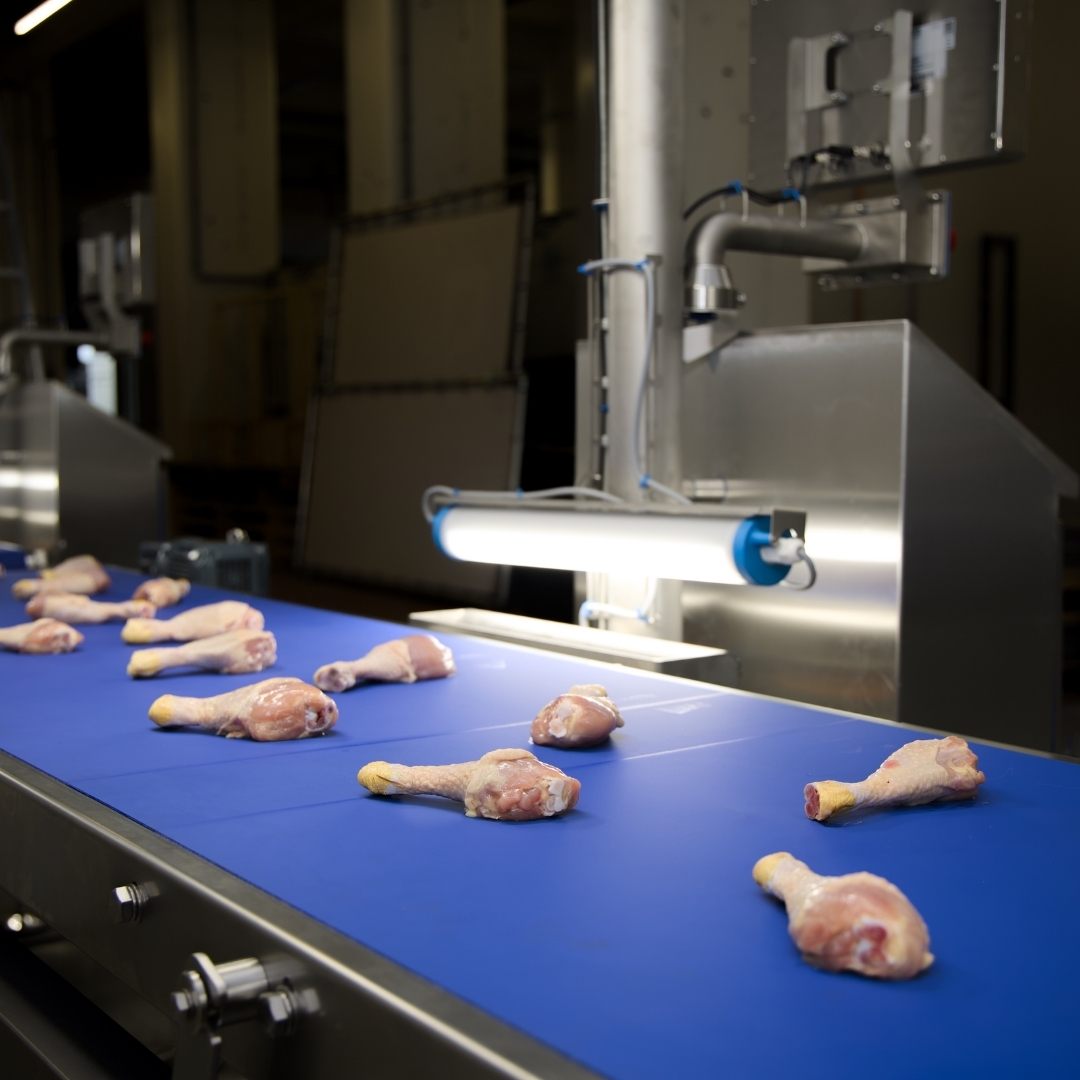 food-automation-meatprocessing