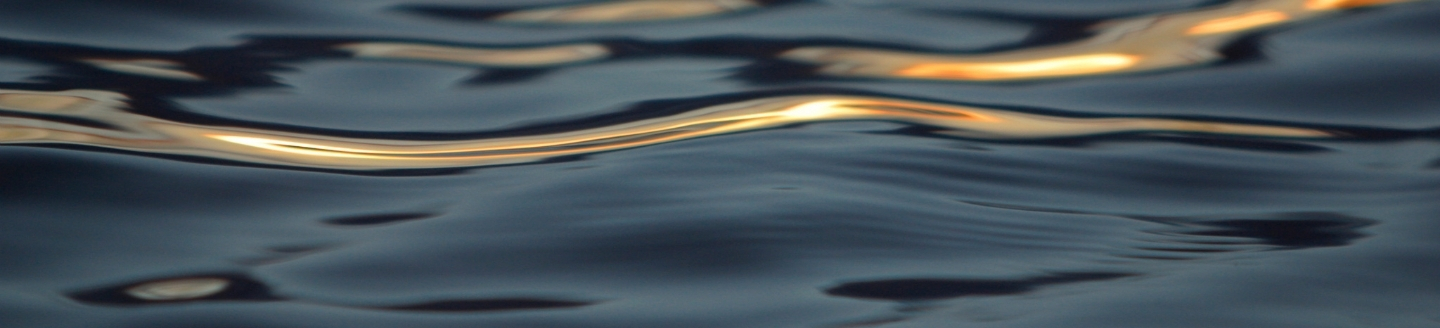 Water with golden reflection.