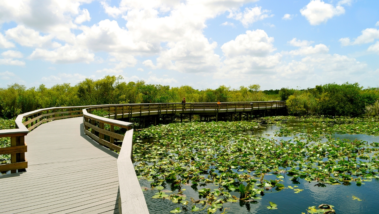 Everglades national park.