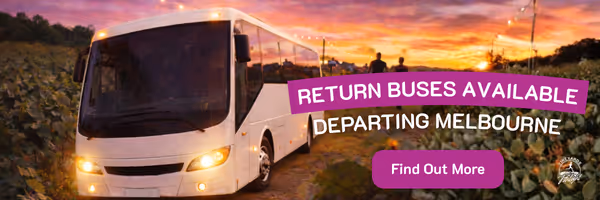 White bus on a rural road with lights on at sunset and text offering return buses departing Melbourne.