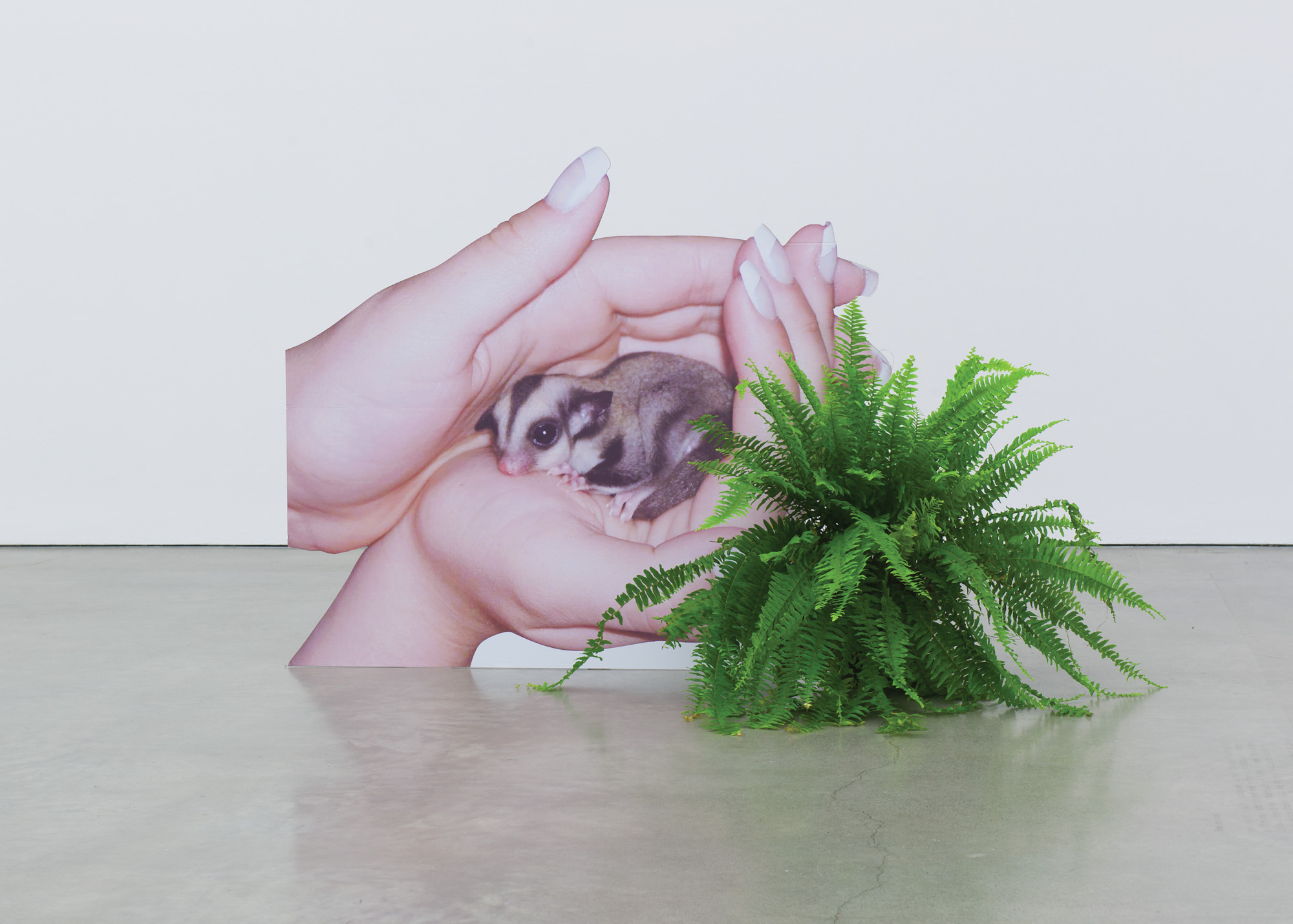 Installation view at Bard College