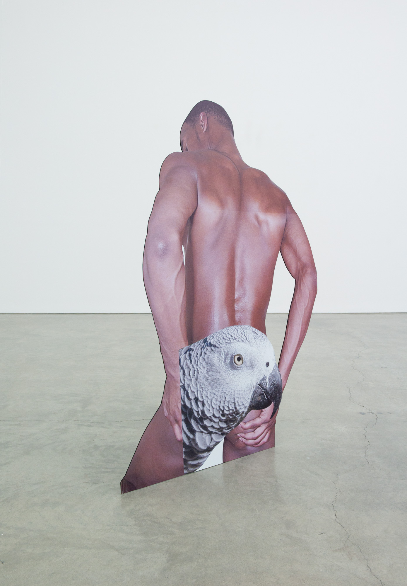 Installation view at Bard College