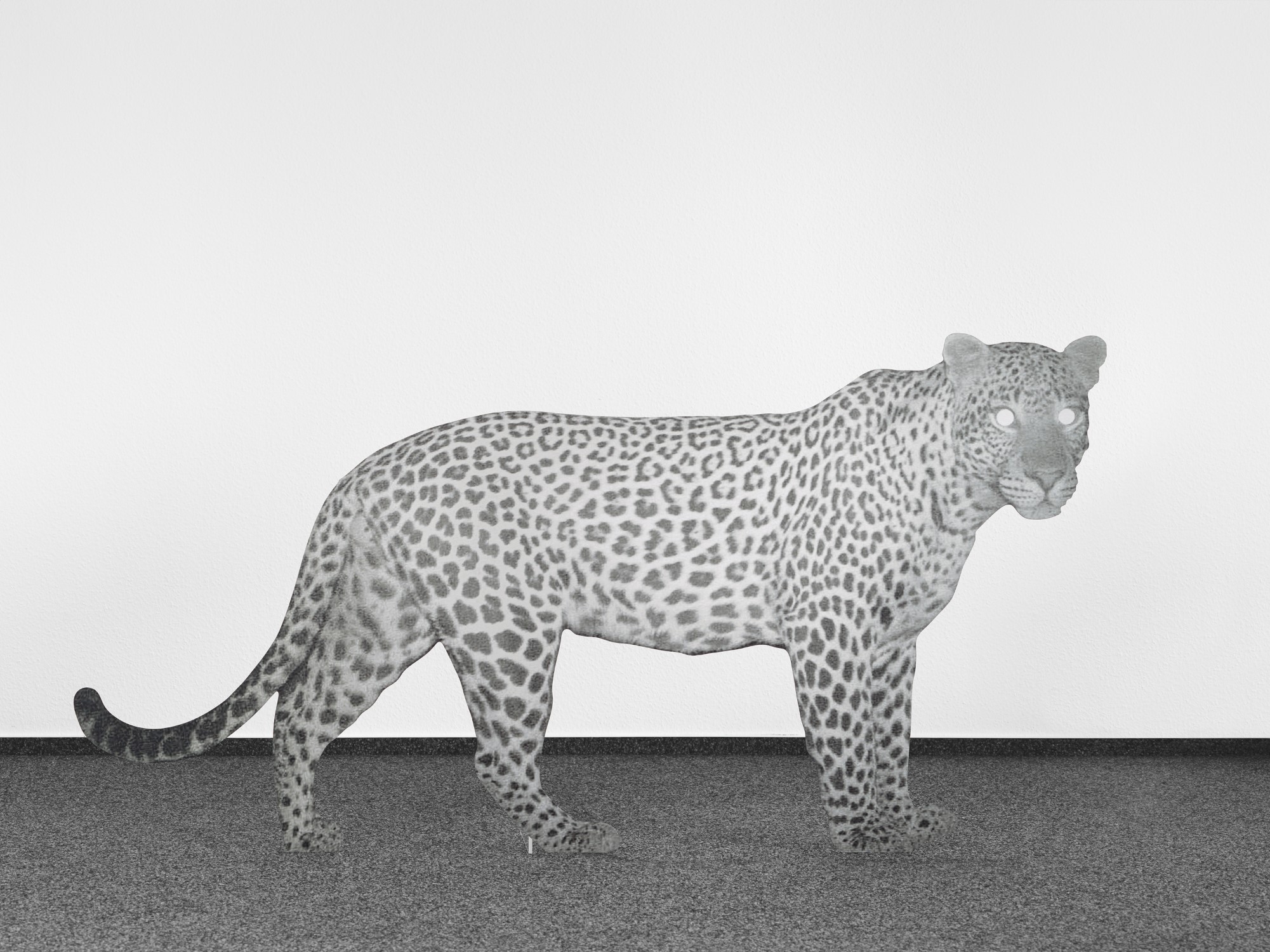 Approximation (trail camera night vision, leopard)