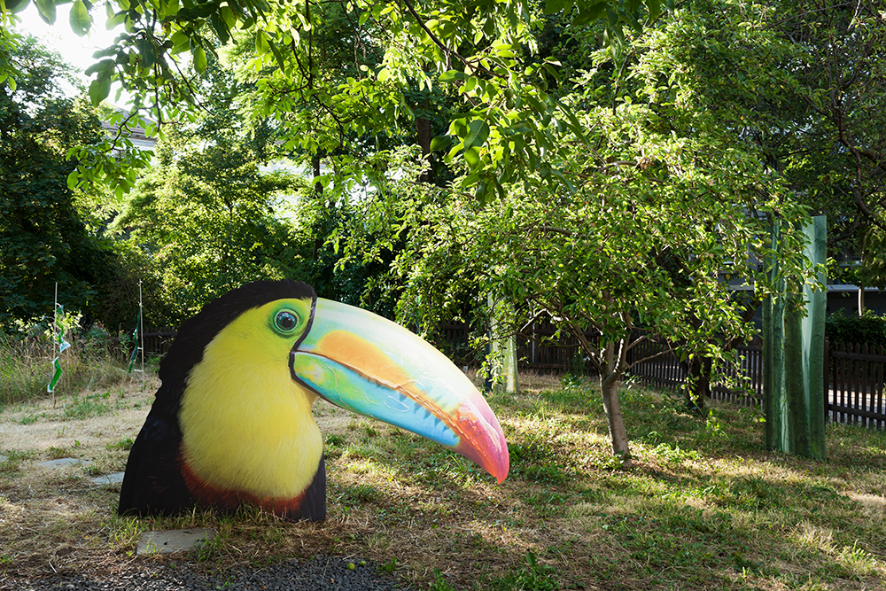 Approximation (toucan)