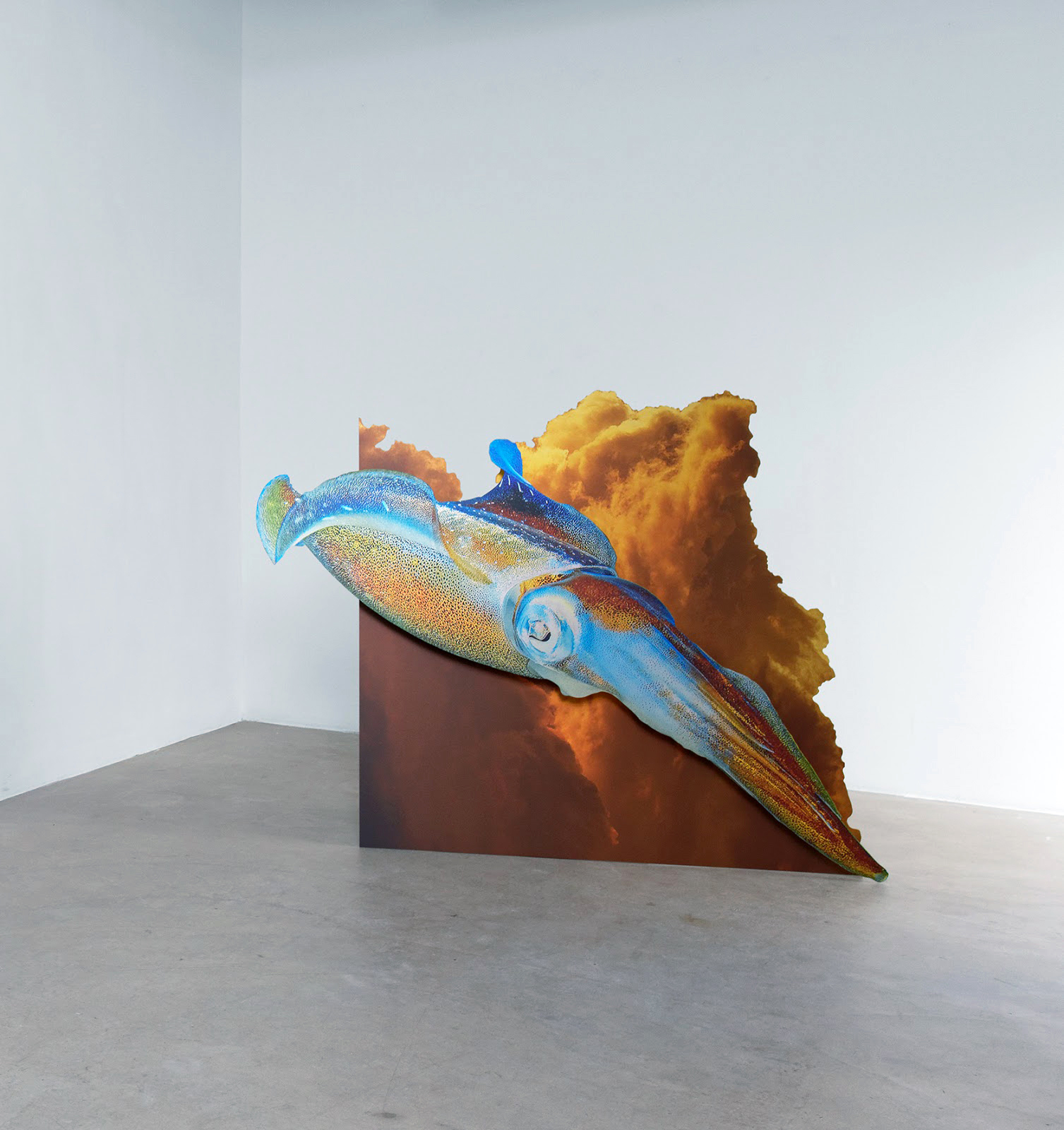 Squid Trajectory (color changing)