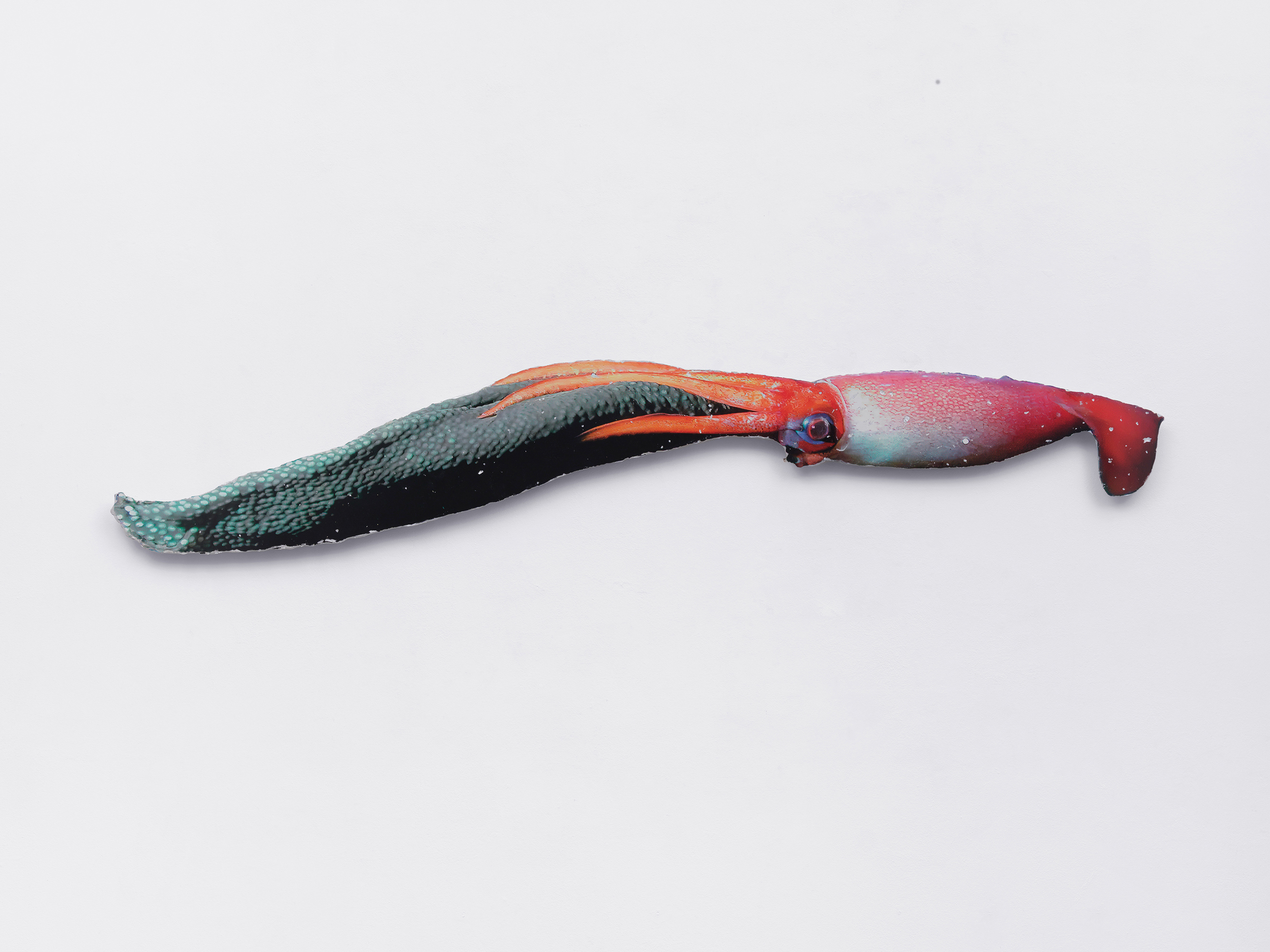 Earthware (brooding squid 02)