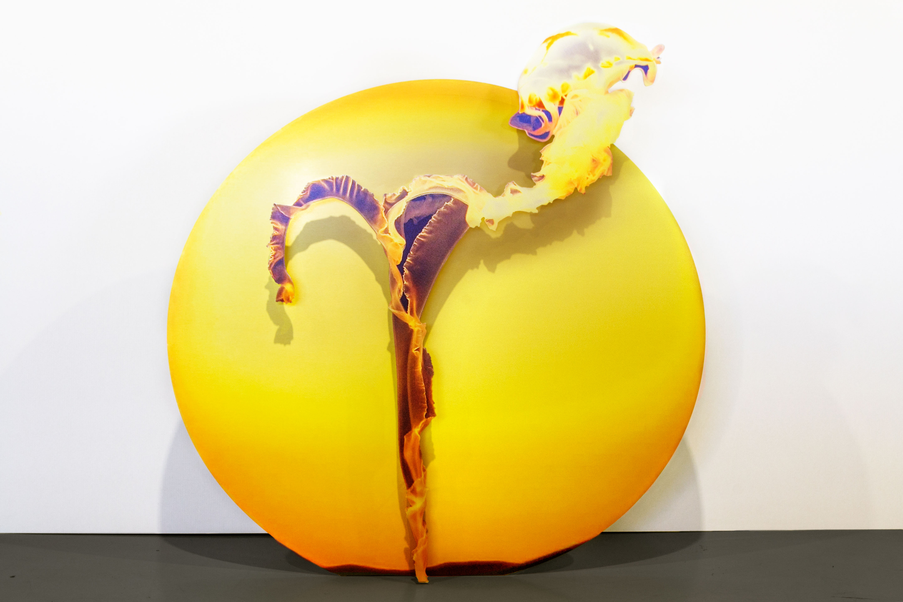 Light Trajectory (jellyfish)