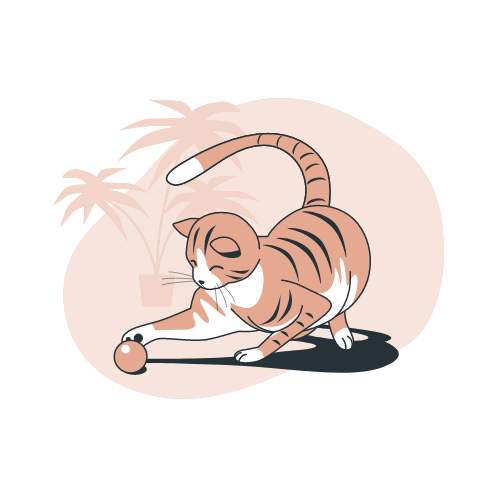 Under Construction Cat