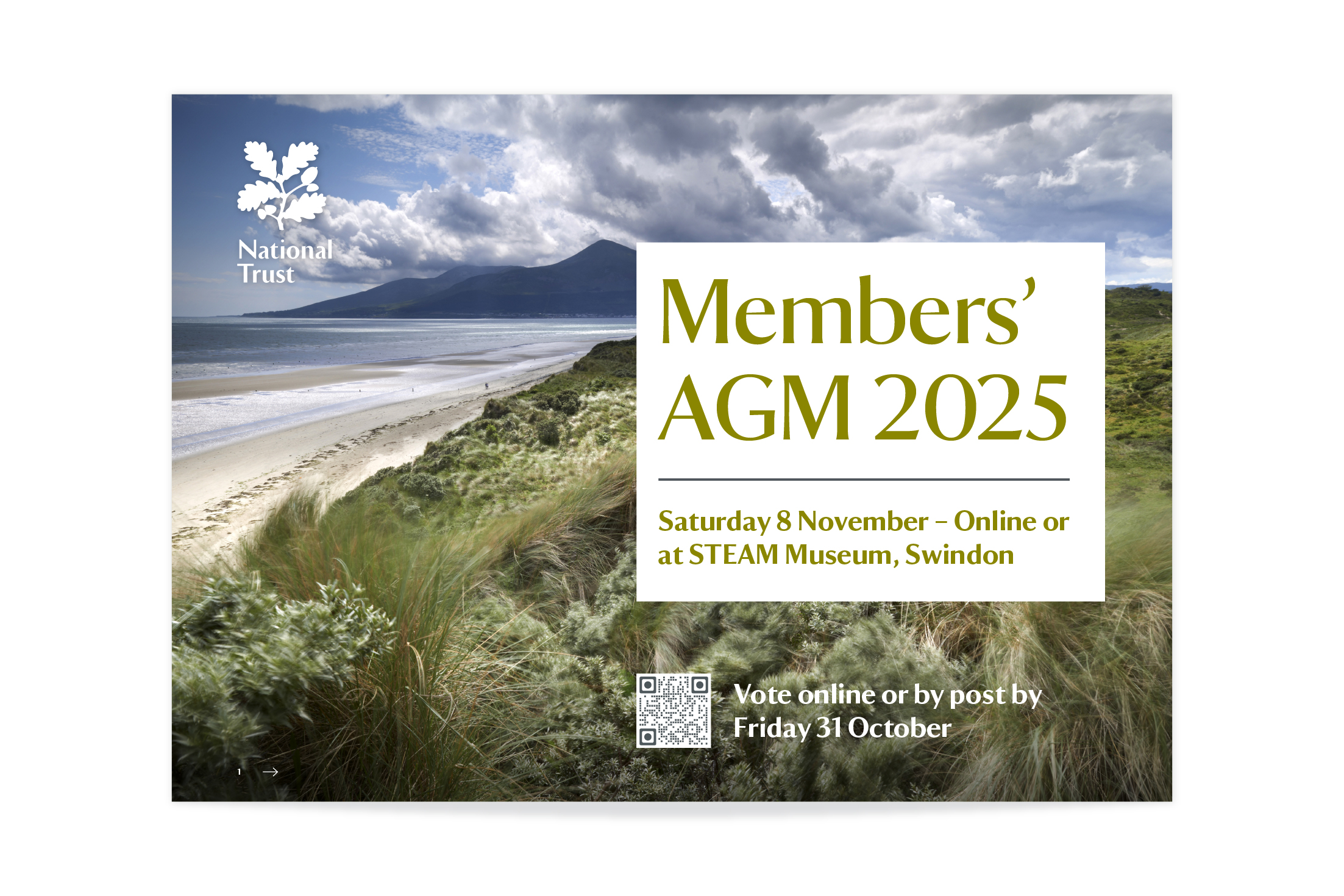 AGM Voting accessible PDF cover