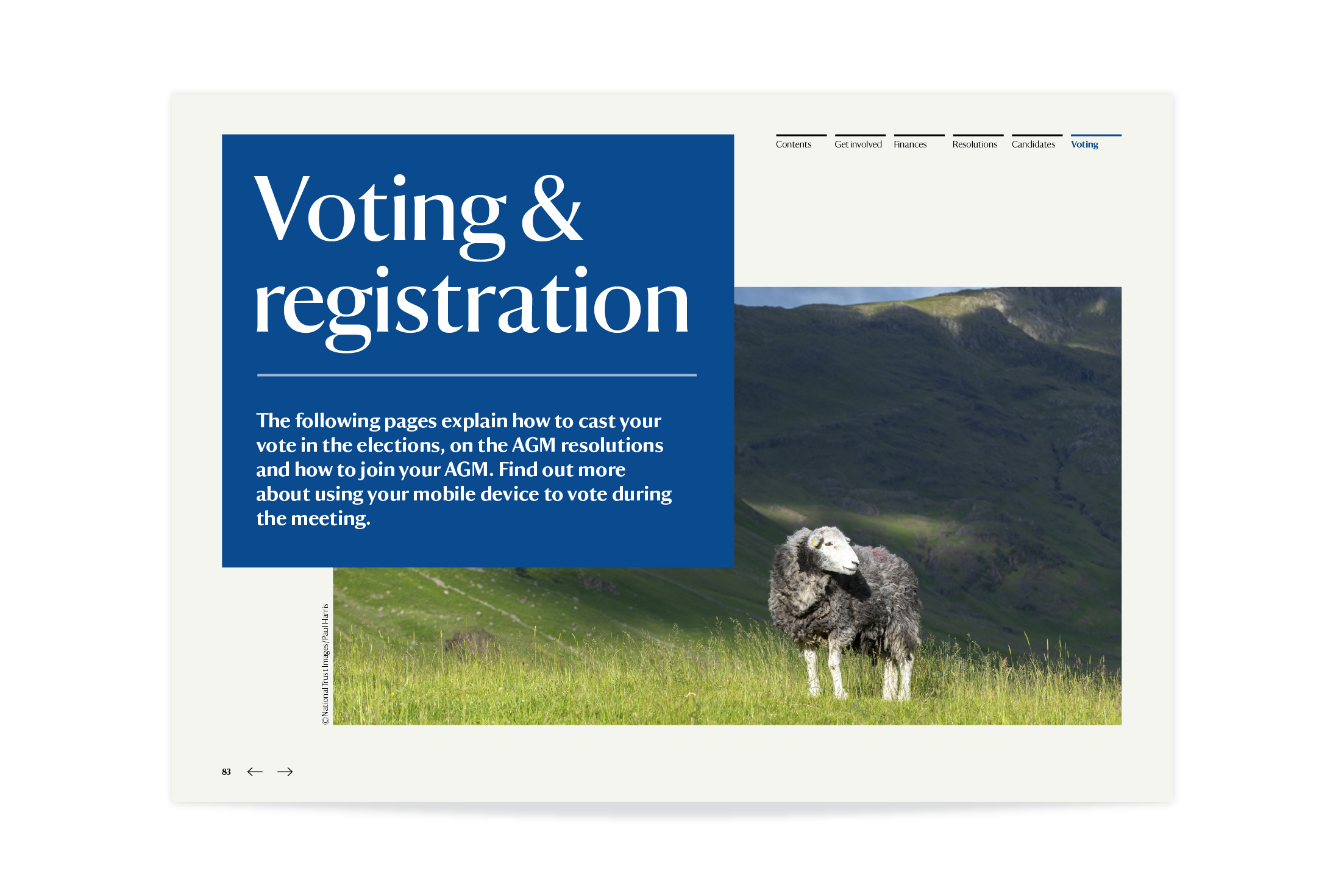 AGM Voting accessible PDF
