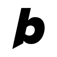 Logo Bolt