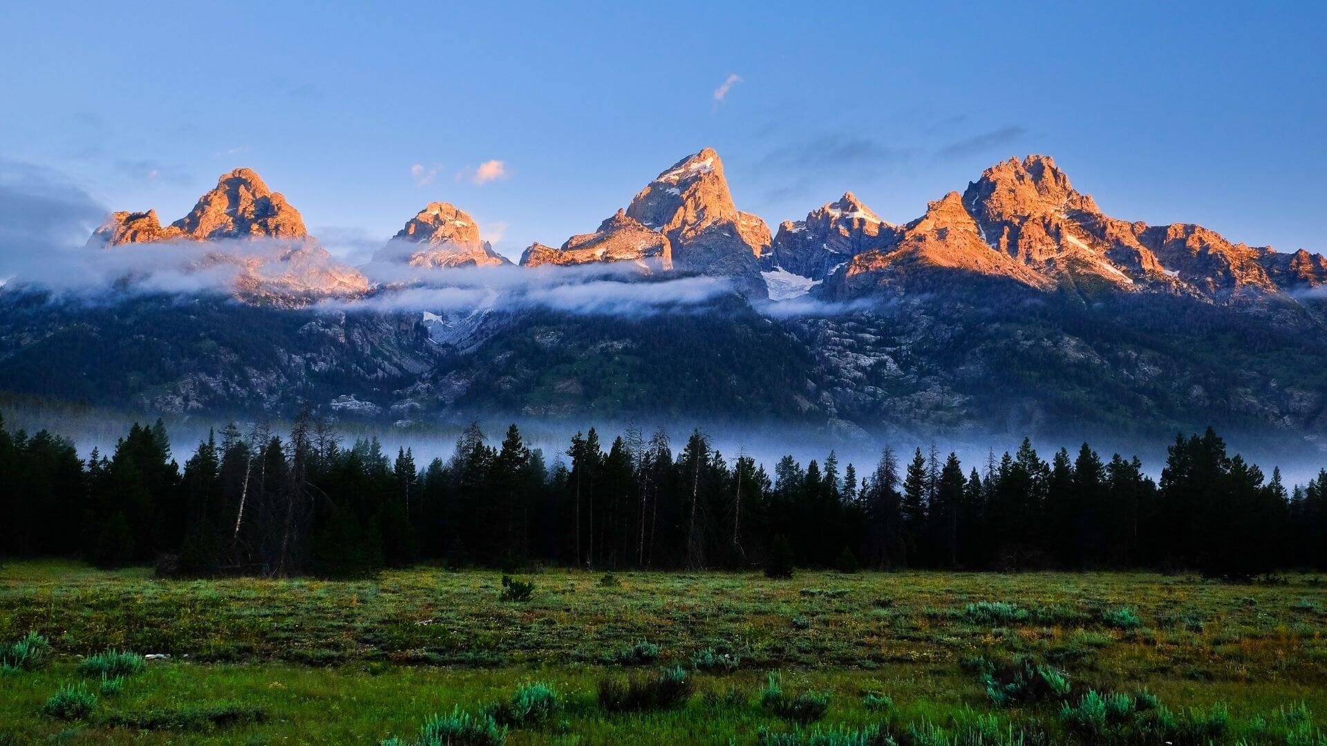 Rates and fees information for Check City services in Wyoming.