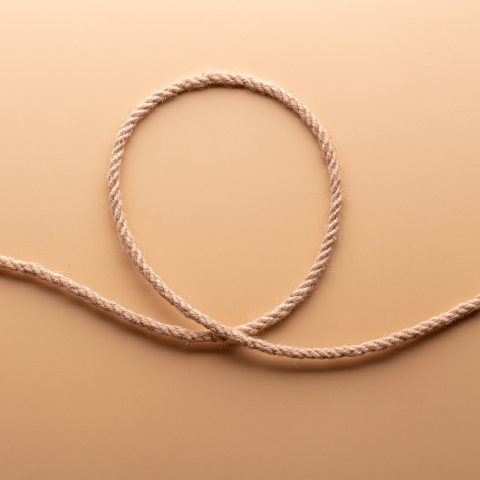 couple looking at computer