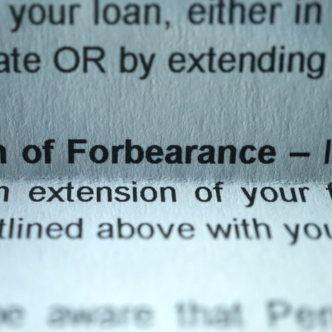 couple looking at computer