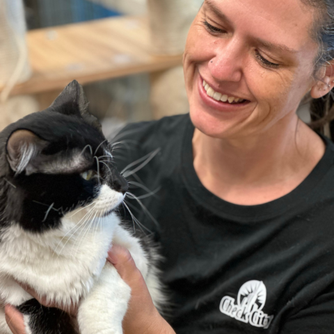 Check City employees volunteering at the South Utah Valley Animal Shelter