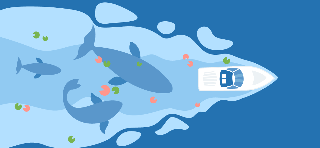 sea creatures swimming under a boat