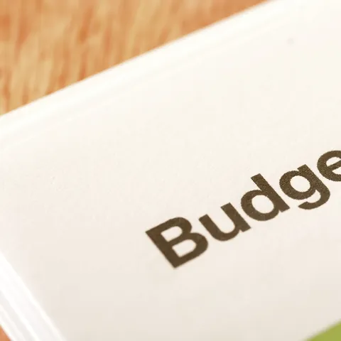A budget is a spending plan based on income and expenses
