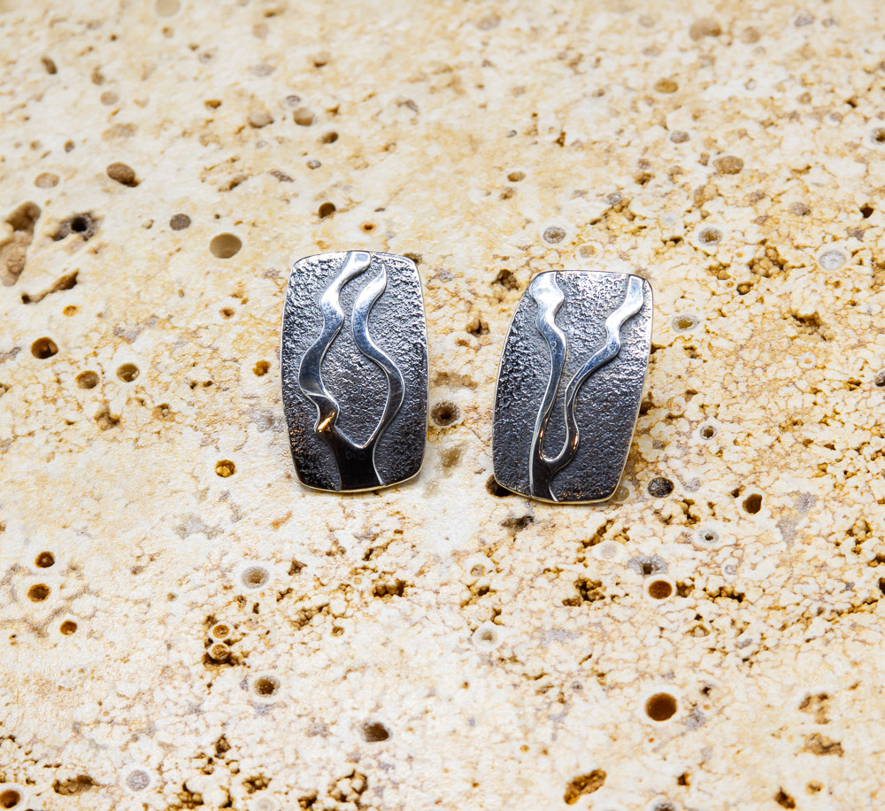 Sterling Silver Earrings- $250