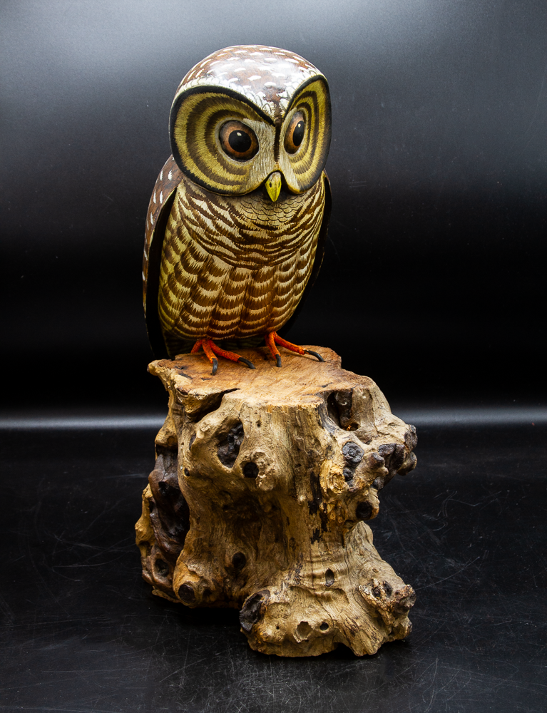 Spotted Owl - $325