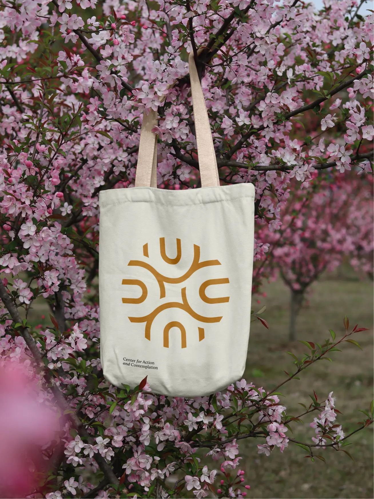 Main wide image of Center for action and contemplation brand