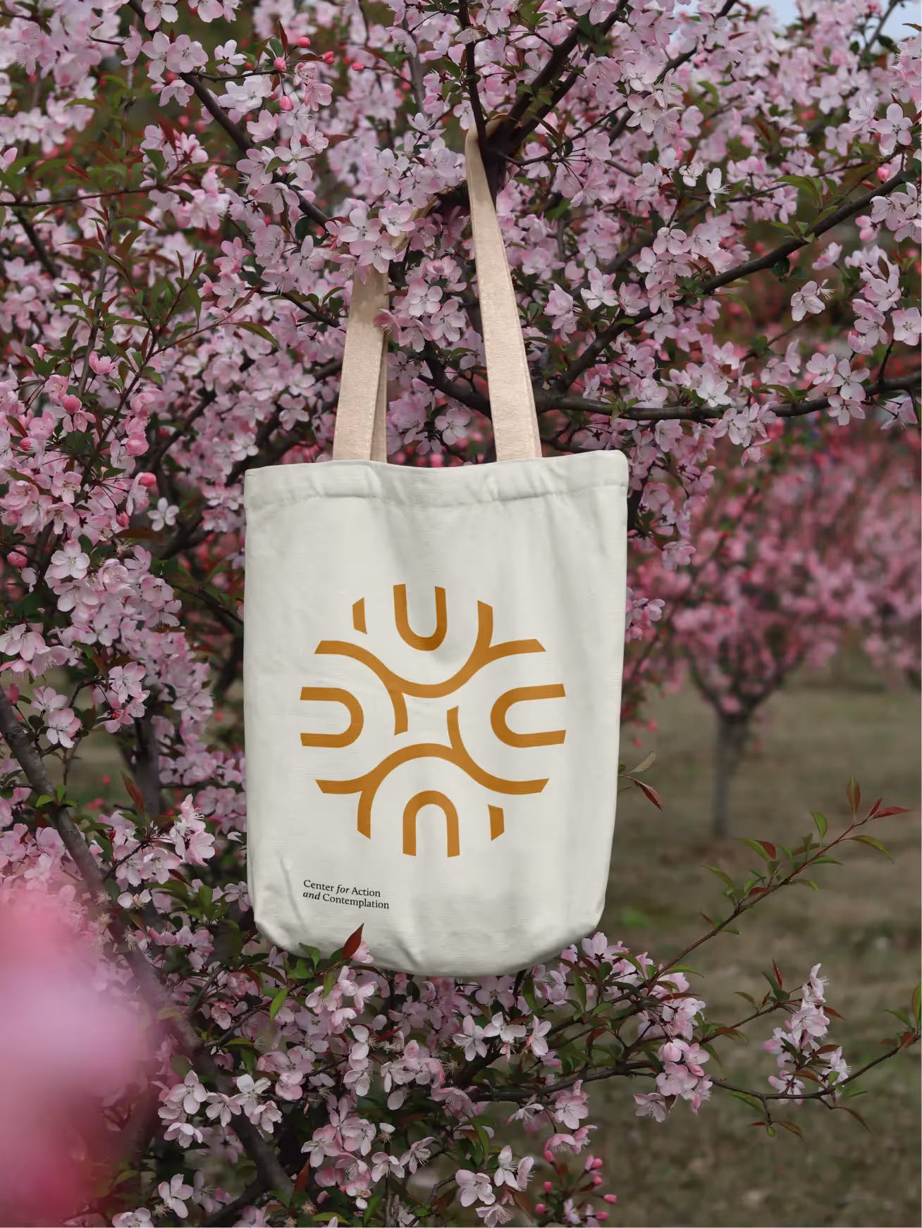 Main wide image of Center for action and contemplation brand