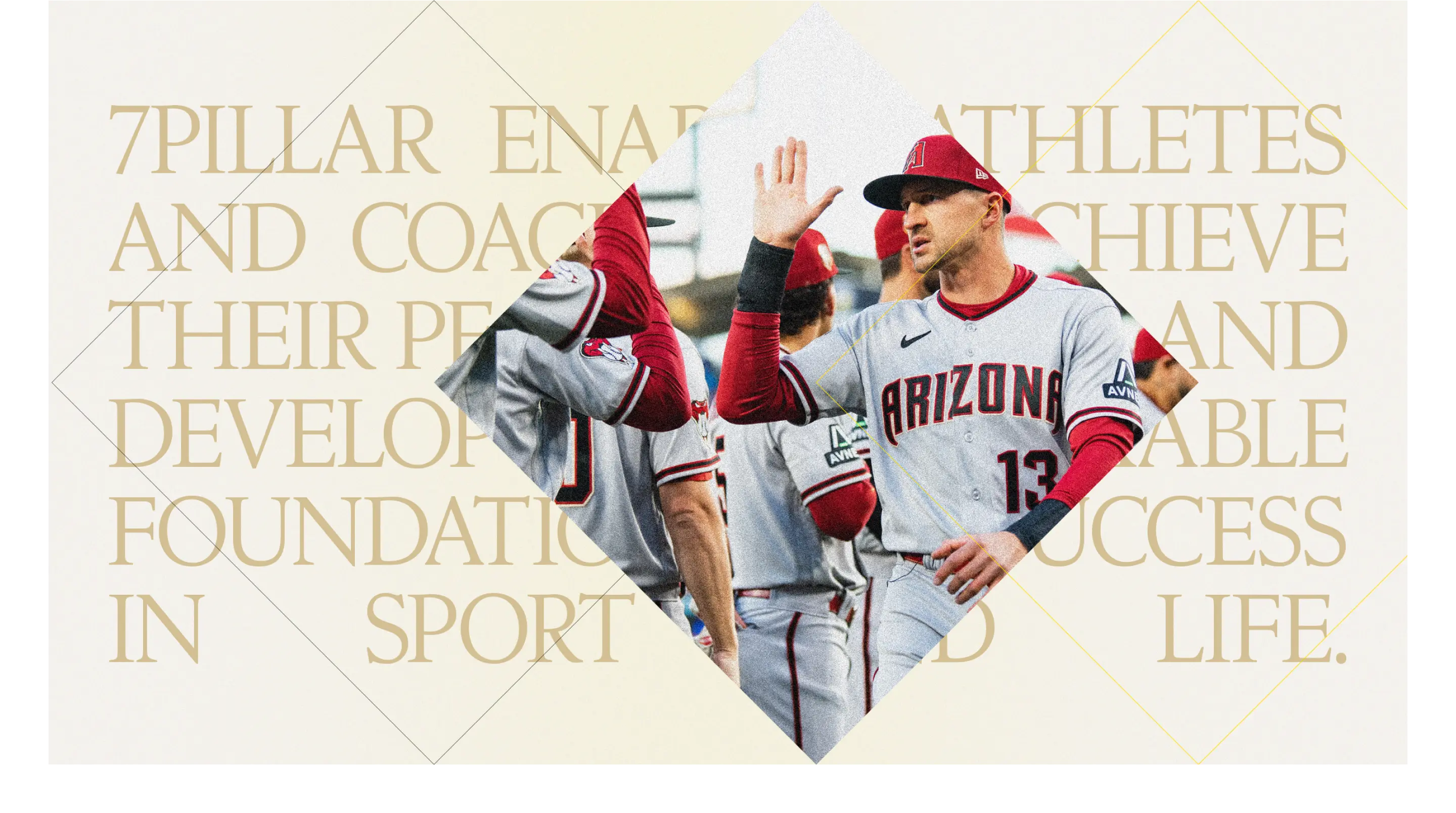 7Pillar ecosystem including coaching resources, video lessons, and physical materials supporting comprehensive athlete formation