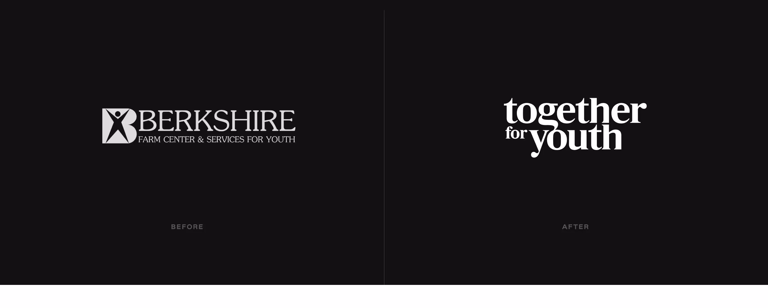 Together for Youth strategic rebranding process transforming 1886-founded organization from outdated identity to modern child services leader
