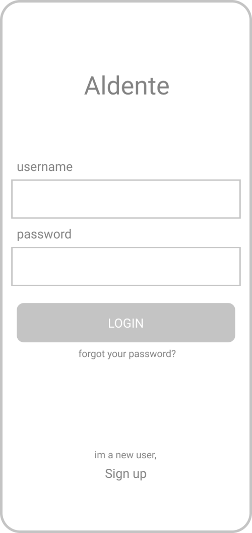 wireframe login