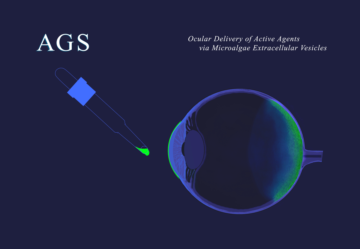 « Non-Invasive Back-of-the-Eye Treatment:  AGS Therapeutics Strengthens Its Patent Portfolio with International Patent Application for MEV-Based Ocular Delivery », Paris, FR, Sept. 5, 2025