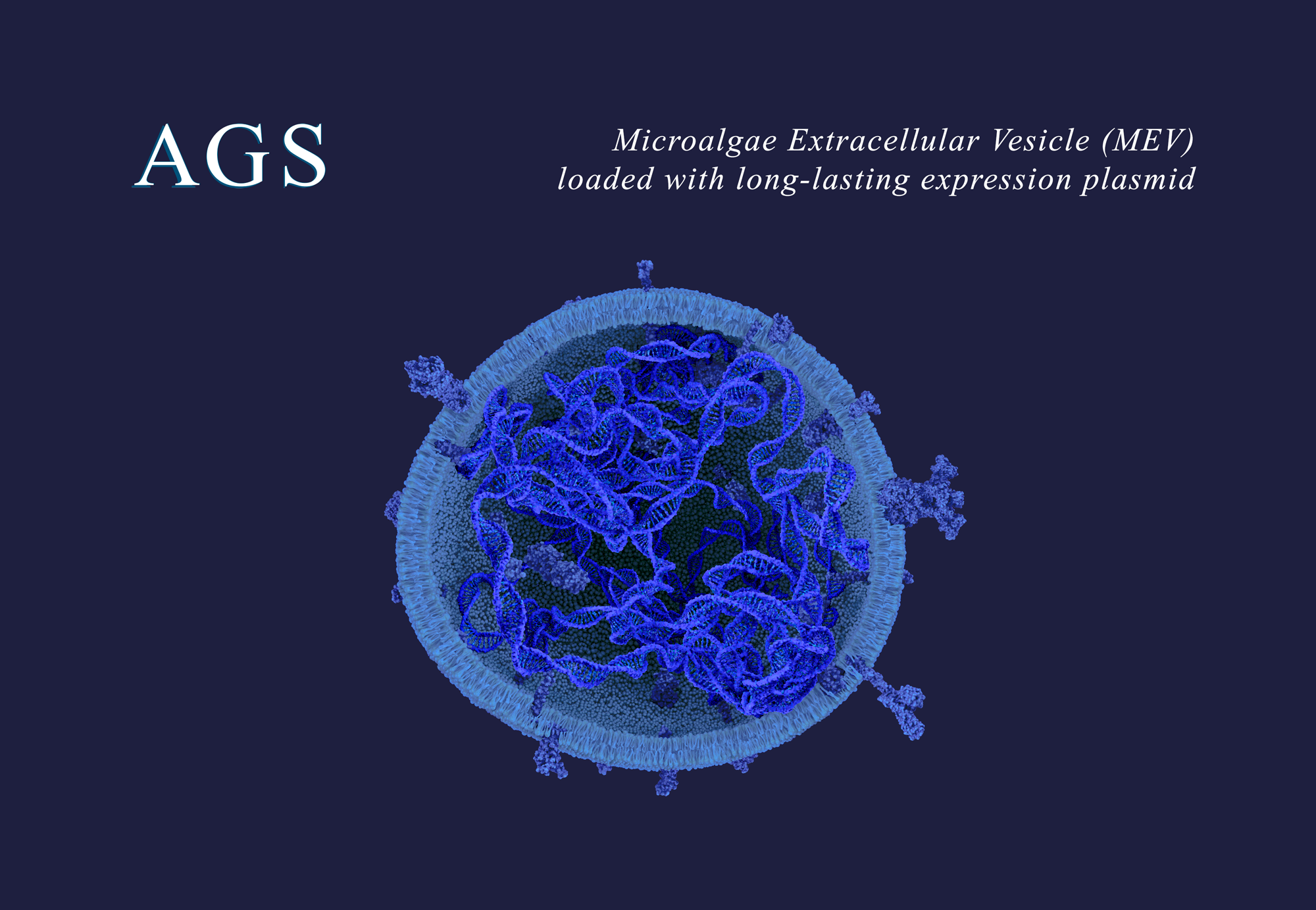 « AGS Therapeutics Strengthens Patent Portfolio with International Filing for MEV-Mediated Gene Therapies », Paris, FR, Sept. 9, 2025.