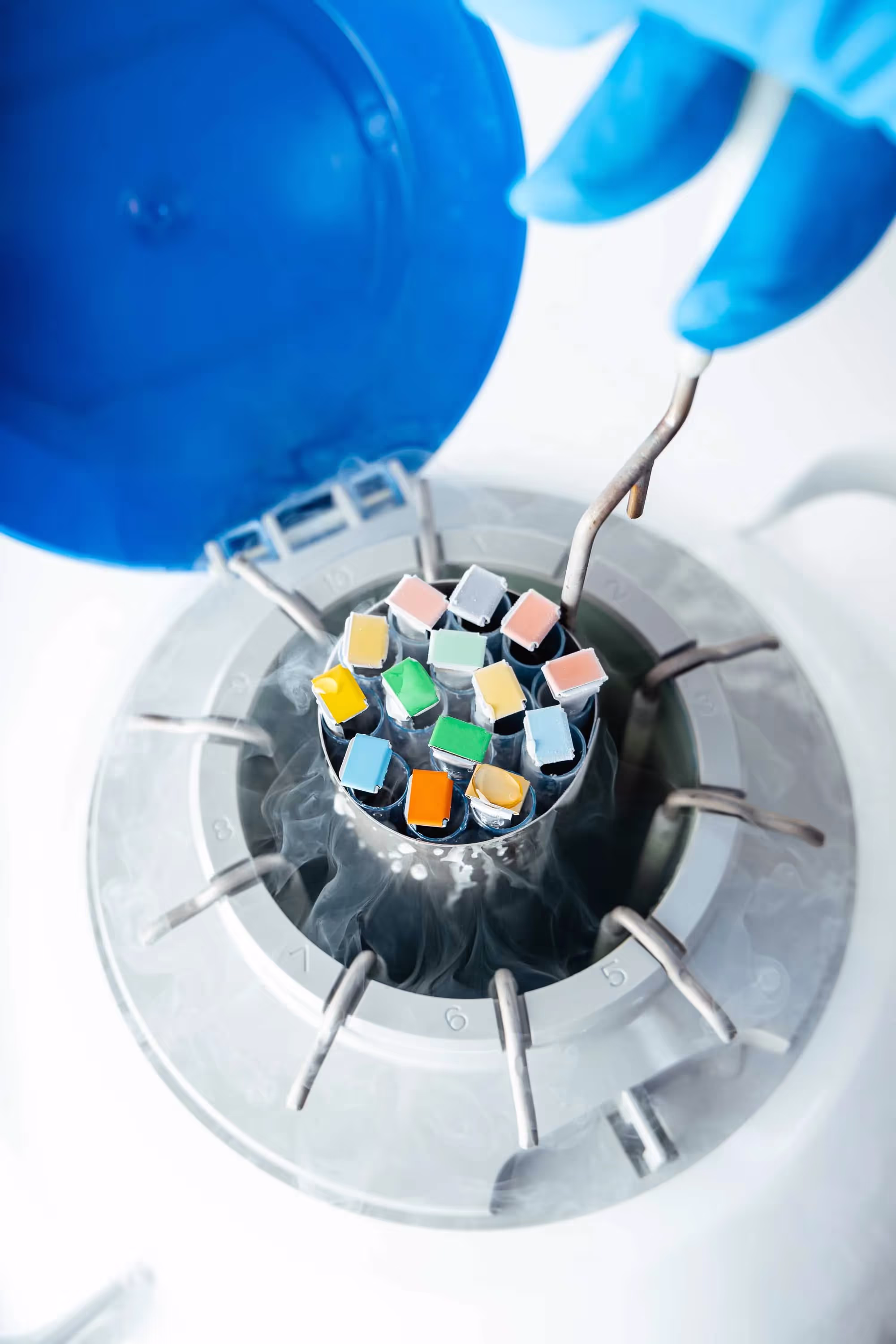 Frozen Biological material being pulled out of Cryotank. 