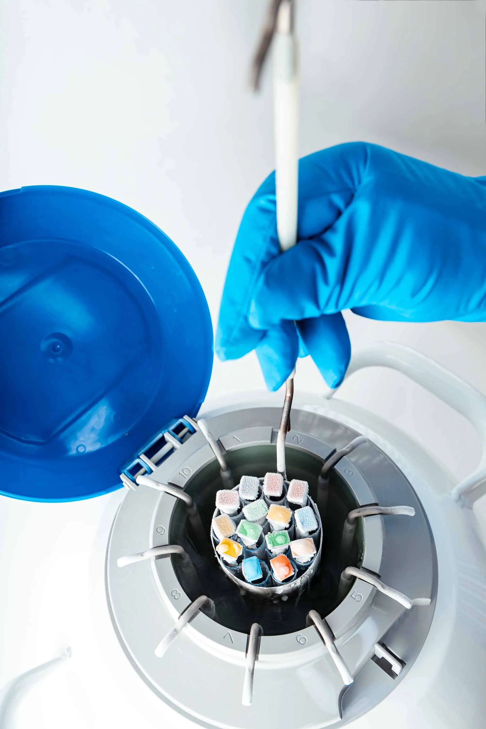Frozen Biological material being pulled out of Cryotank. 