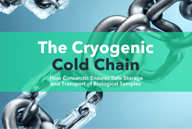 The cryogenic cold chain: How Consarctic ensures the safe storage and transportation of biological samples