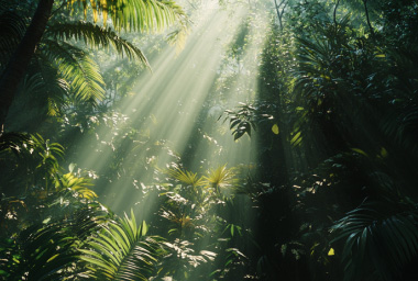 Preserving biodiversity through cryopreservation