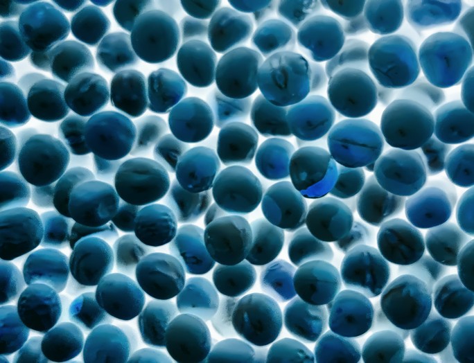 Cryopreservation Protocol for Cells: The Complete Step-by-Step Guide