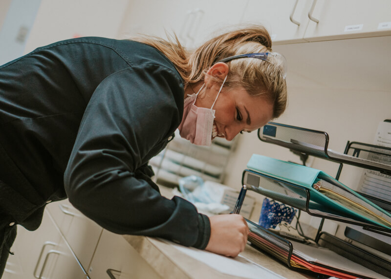dentist in ellsworth