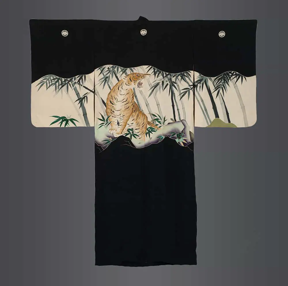 Youth ceremonial kimono
