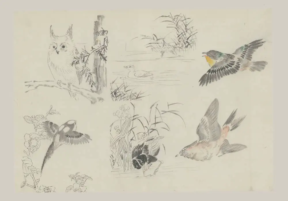 Original Kimono Design Artwork