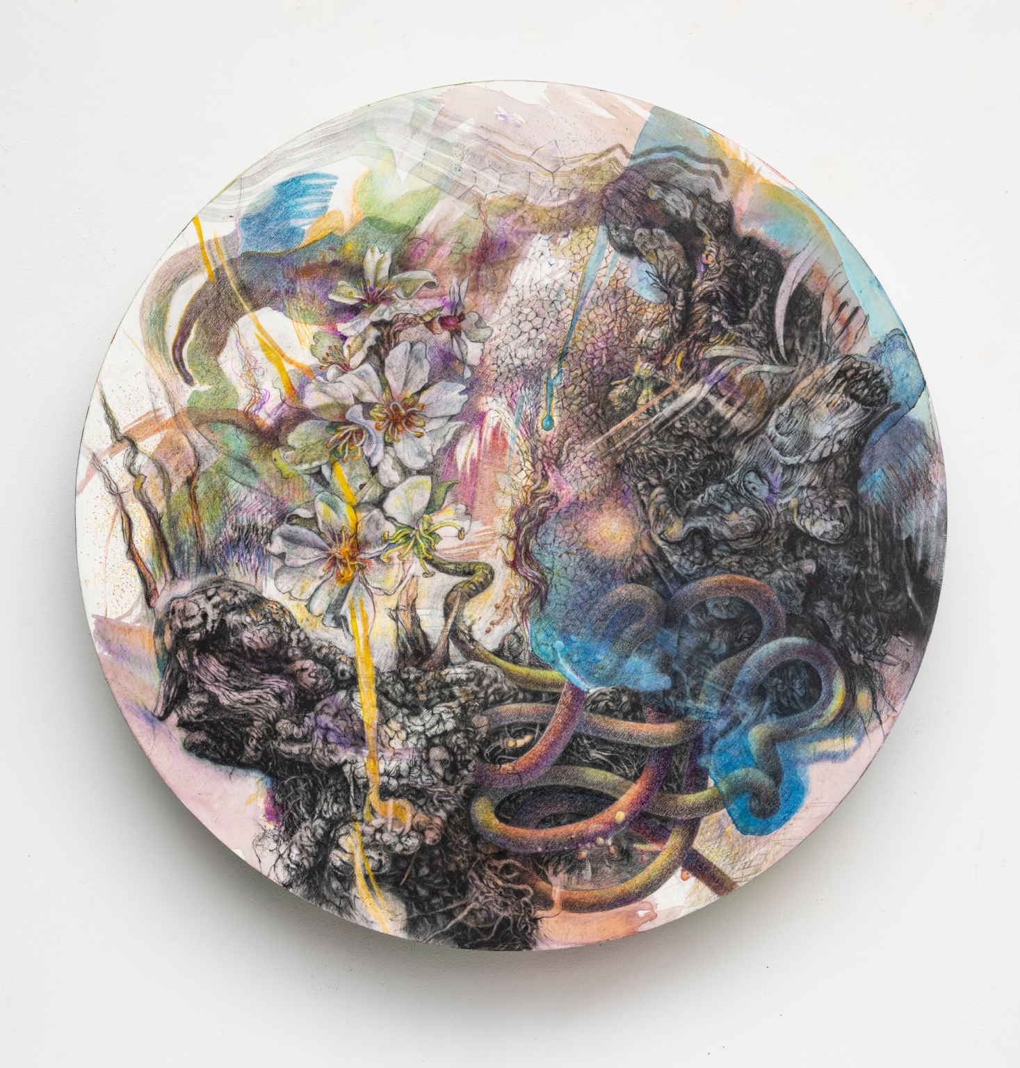 Regeneración el Grande, 2024, 112 dia. x 2.5 cm, Charcoal, colour pencil, acrylic paint, liquid charcoal on wood