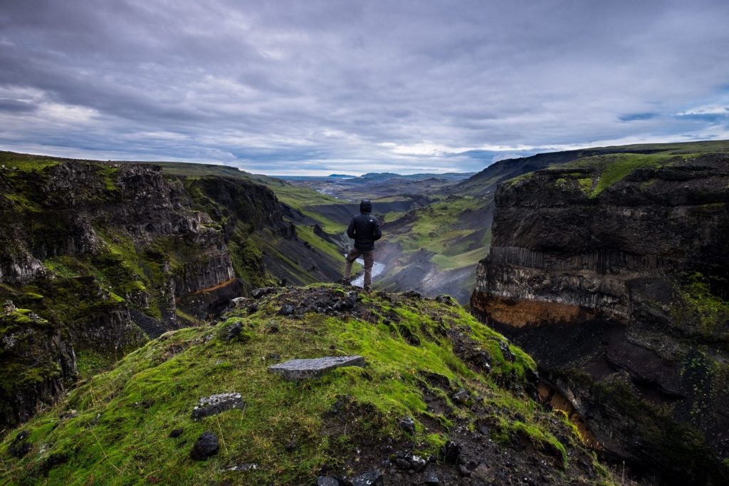 A man standing on top of a lush green hillside