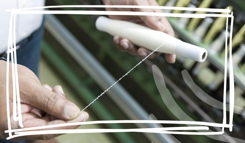 A person holding a white object in their hand