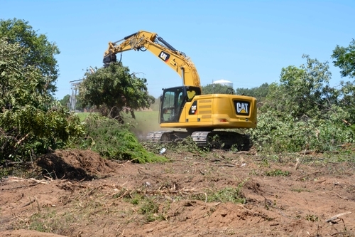 Excavator moving deadfall