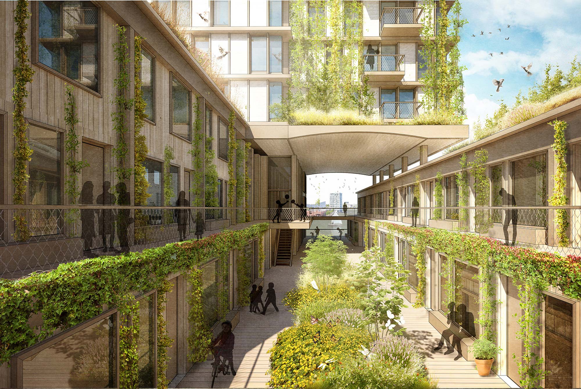 Savia collective garden street connecting shared spaces and greenery