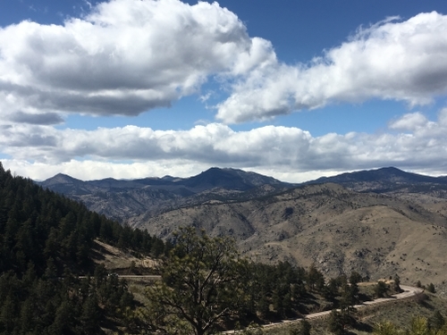 Why You Should Use a Digital Map for Your Next Resort Adventure