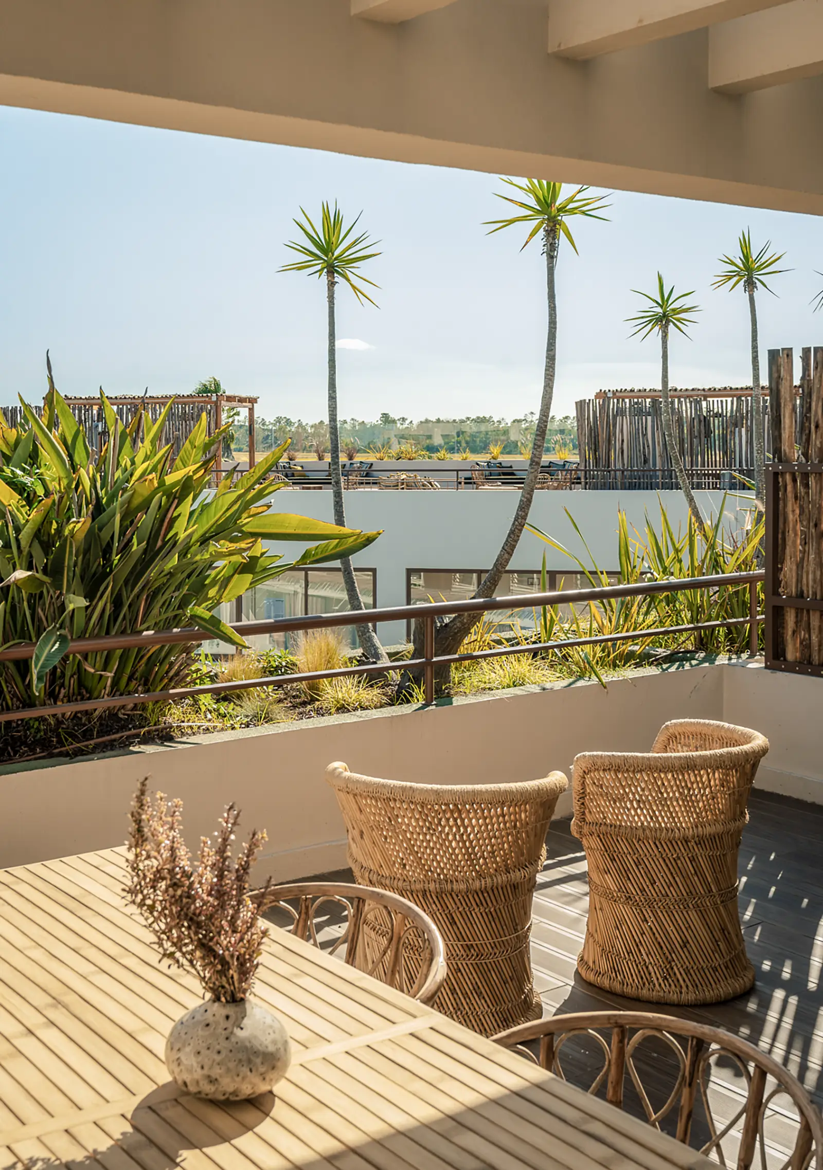 Rice fields view at AlmaLusa Comporta is a boutique hotel in Comporta village