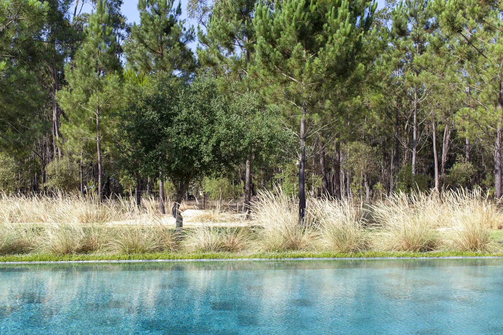 Swimming pool at Spatia Comporta, a five-star hotel retreat.