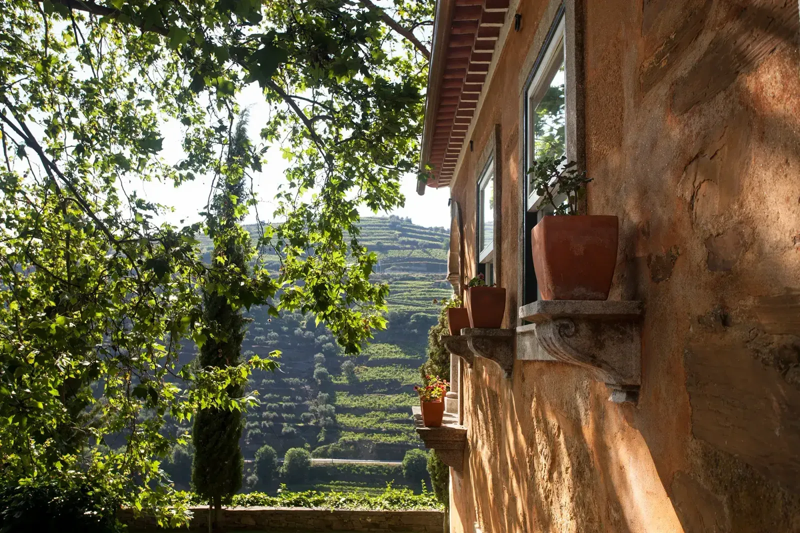 View of the terraced vineyards of the Douro Valley from Quinta do Vallado, one of the boutique hotel highlights in the Douro region.